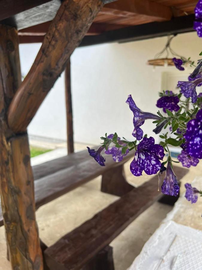 Apartman Djak Plitvicka Jezera Exterior foto