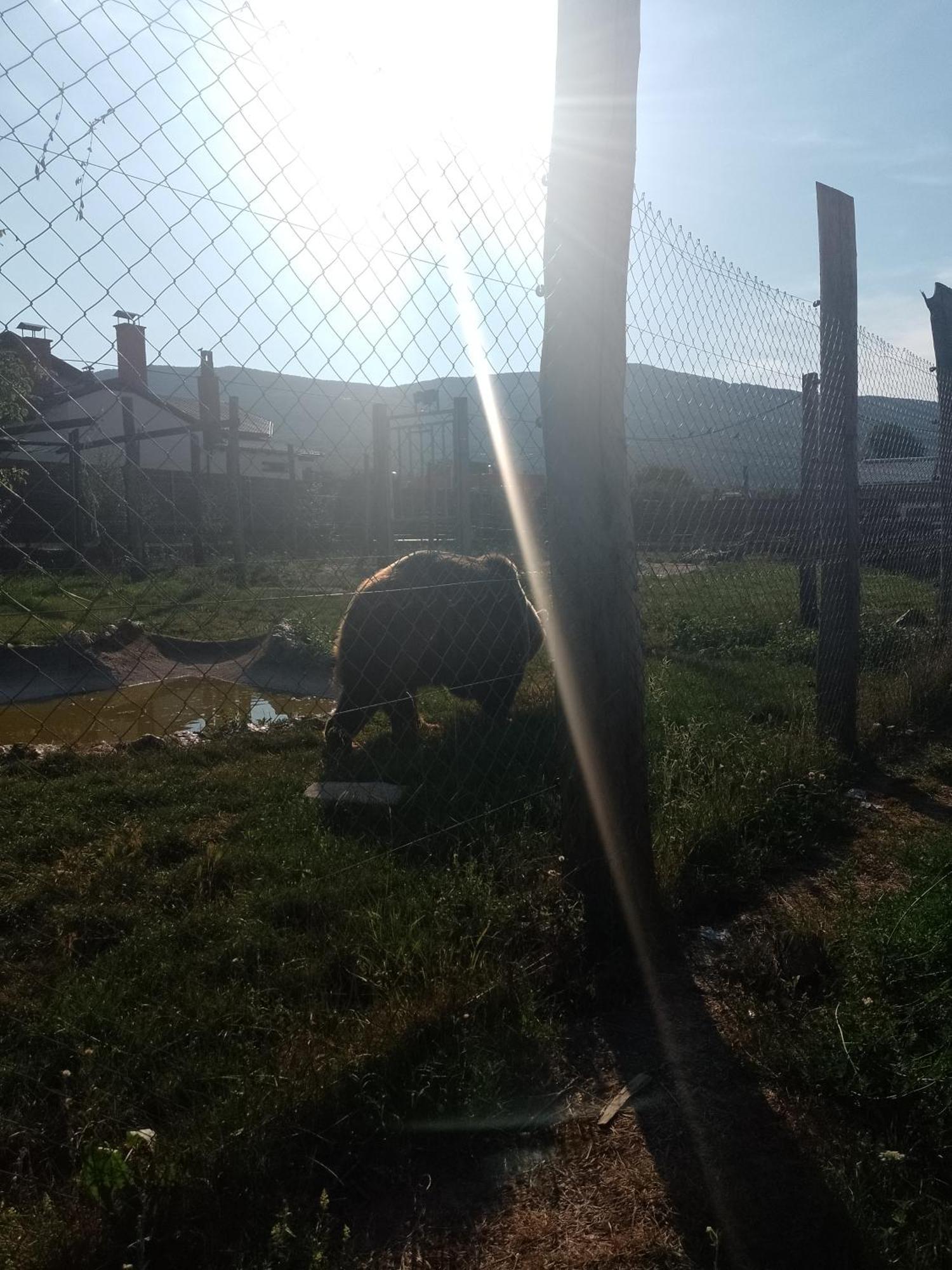 Apartman Djak Plitvicka Jezera Exterior foto