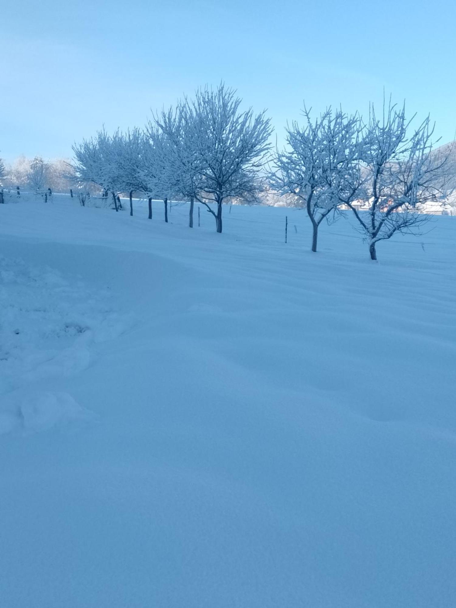 Apartman Djak Plitvicka Jezera Exterior foto